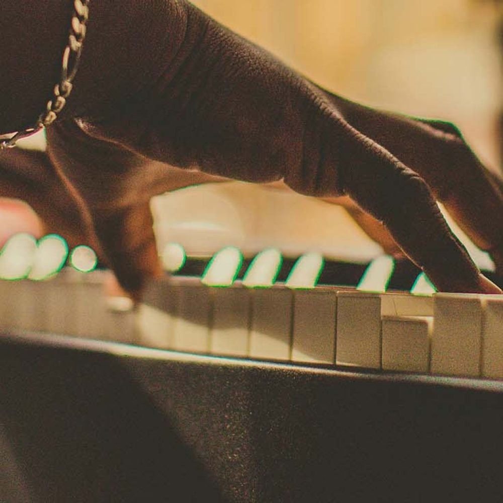 The Ultimate Guide to Doncaster Entertainment Hire for Every Occasion featured